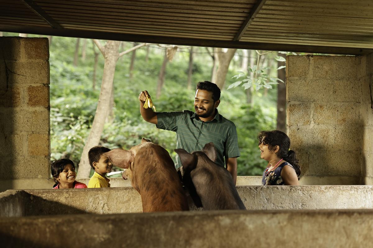 ‘Palthu Janwar’ is a comingofage comedy, says Basil Joseph The Hindu